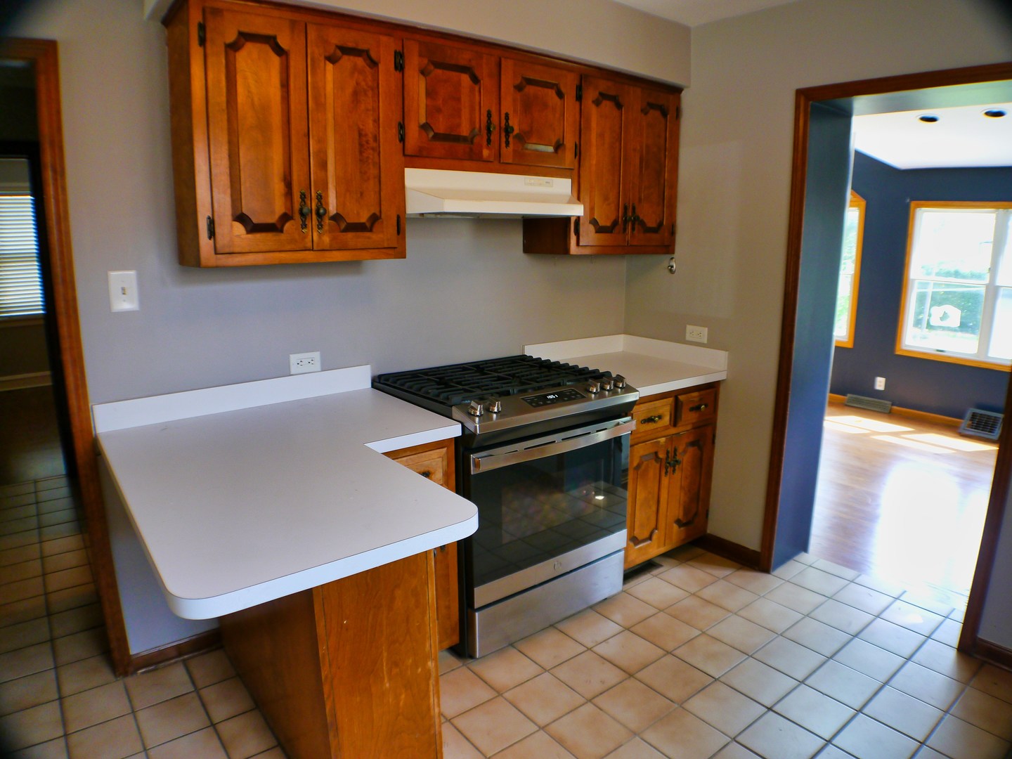 9337 S Richmond Avenue, Evergreen Park, IL 60805