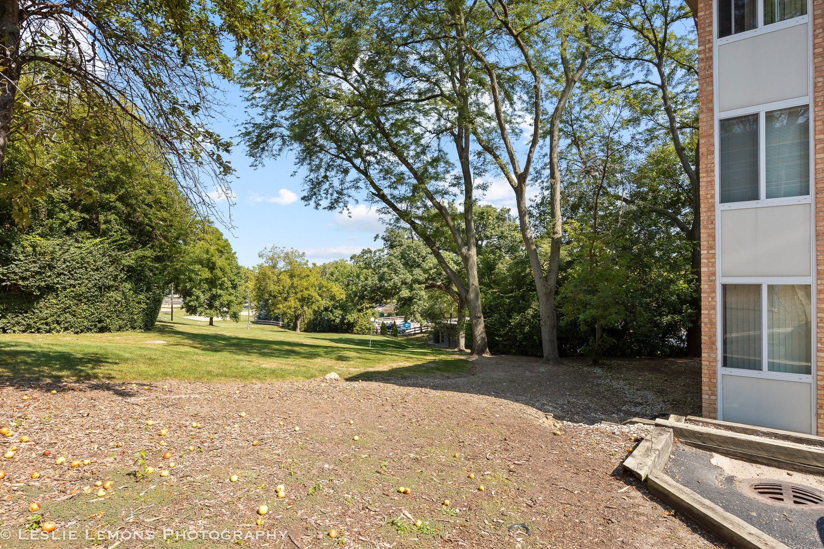 5811 Oakwood Drive #D, Lisle, IL 60532