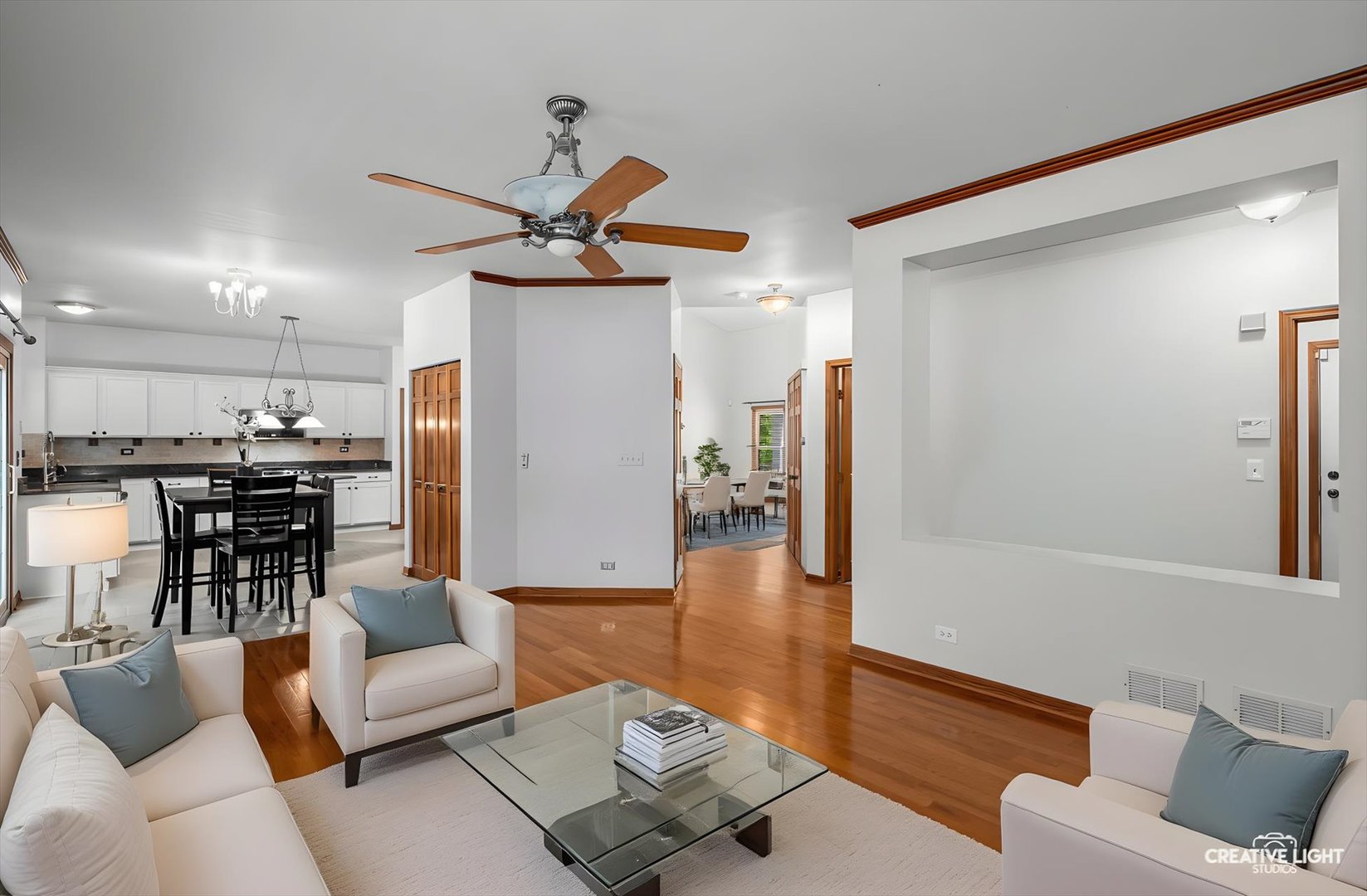 222 Mondovi Drive, Oswego, IL 60543