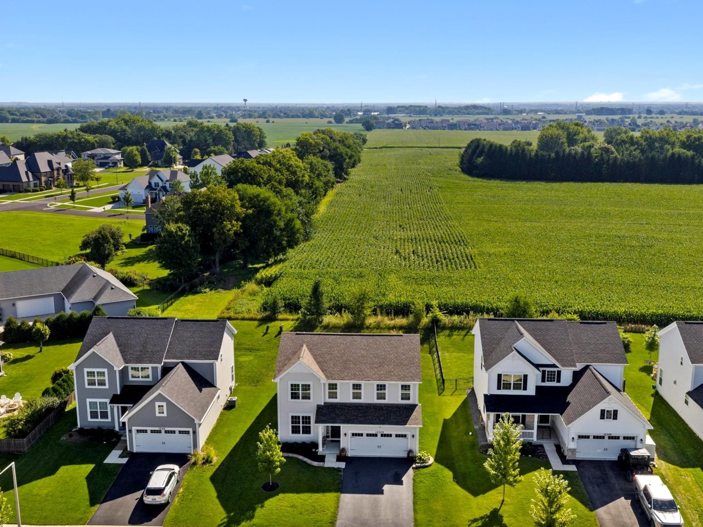 12305 S Prairie Ridge Lane, Plainfield, IL 60585