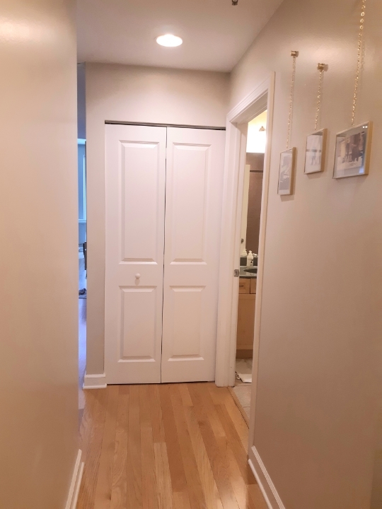 1250 S Michigan Avenue #2003, Chicago, IL 60605