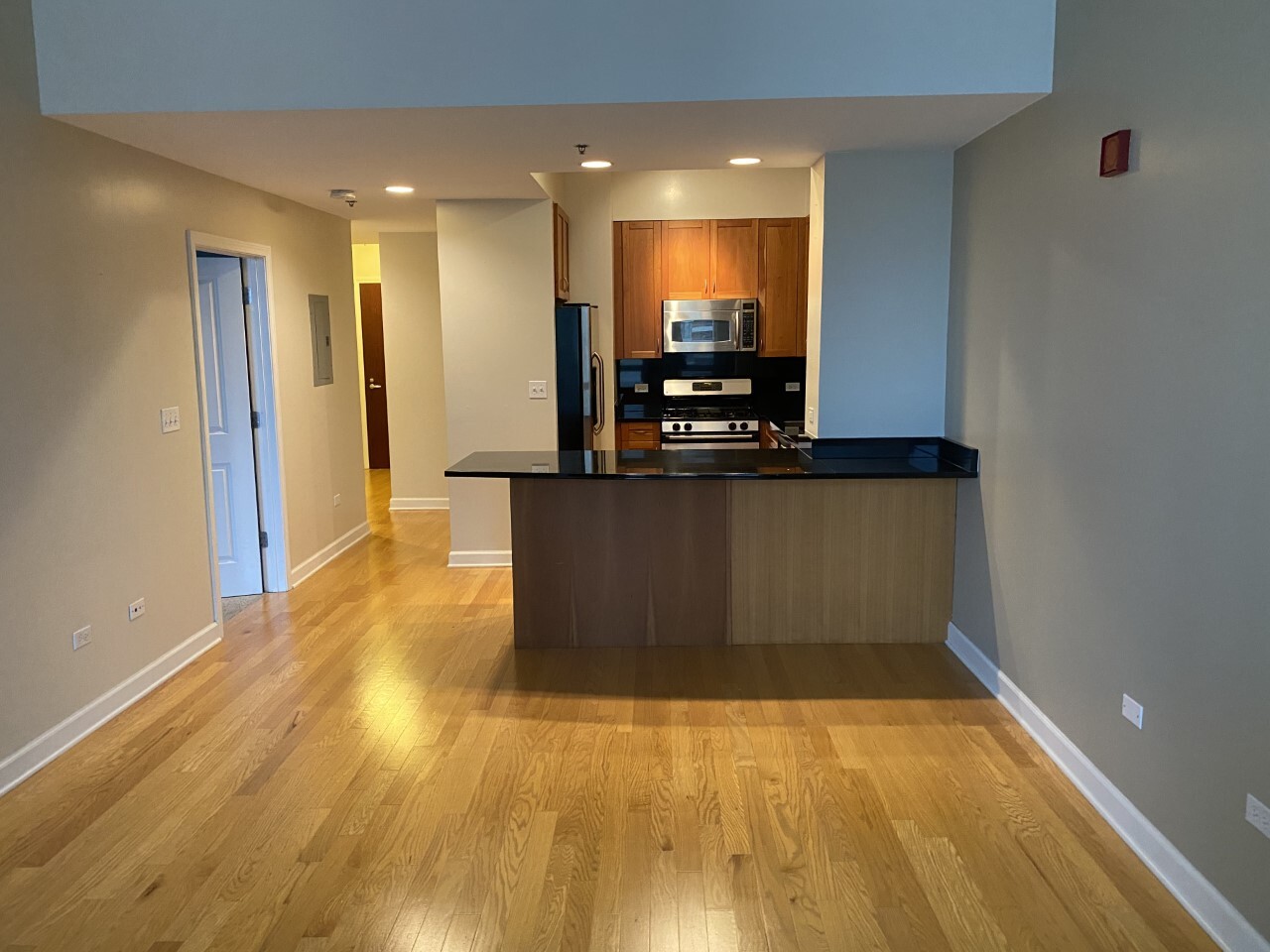 1250 S Michigan Avenue #2003, Chicago, IL 60605