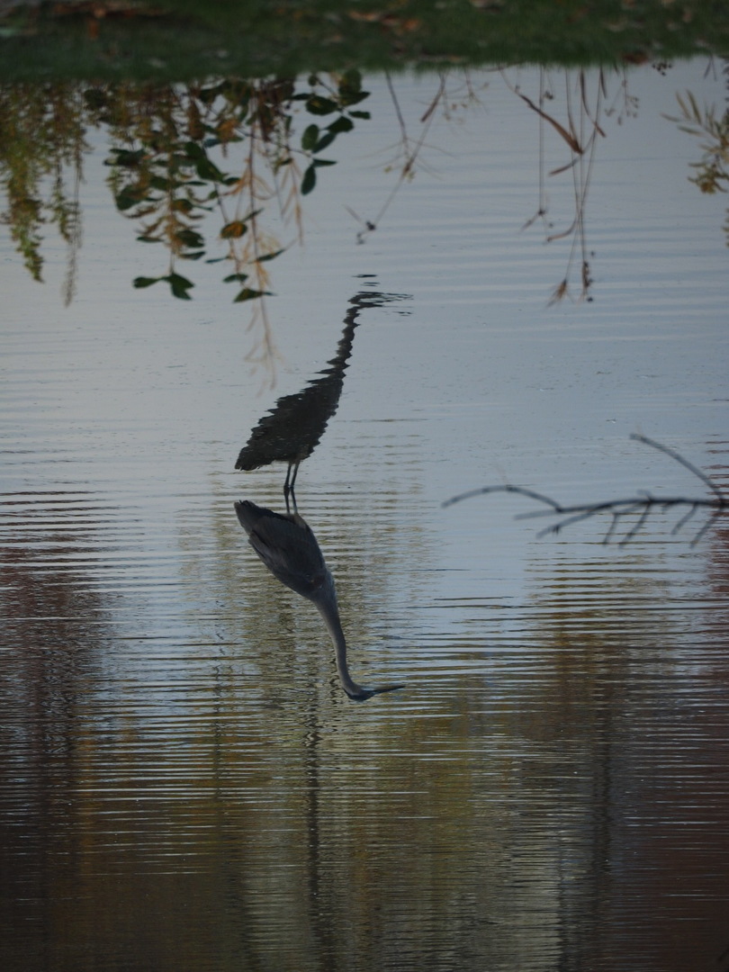 2441 Alan Dale Lane, Yorkville, IL 60560