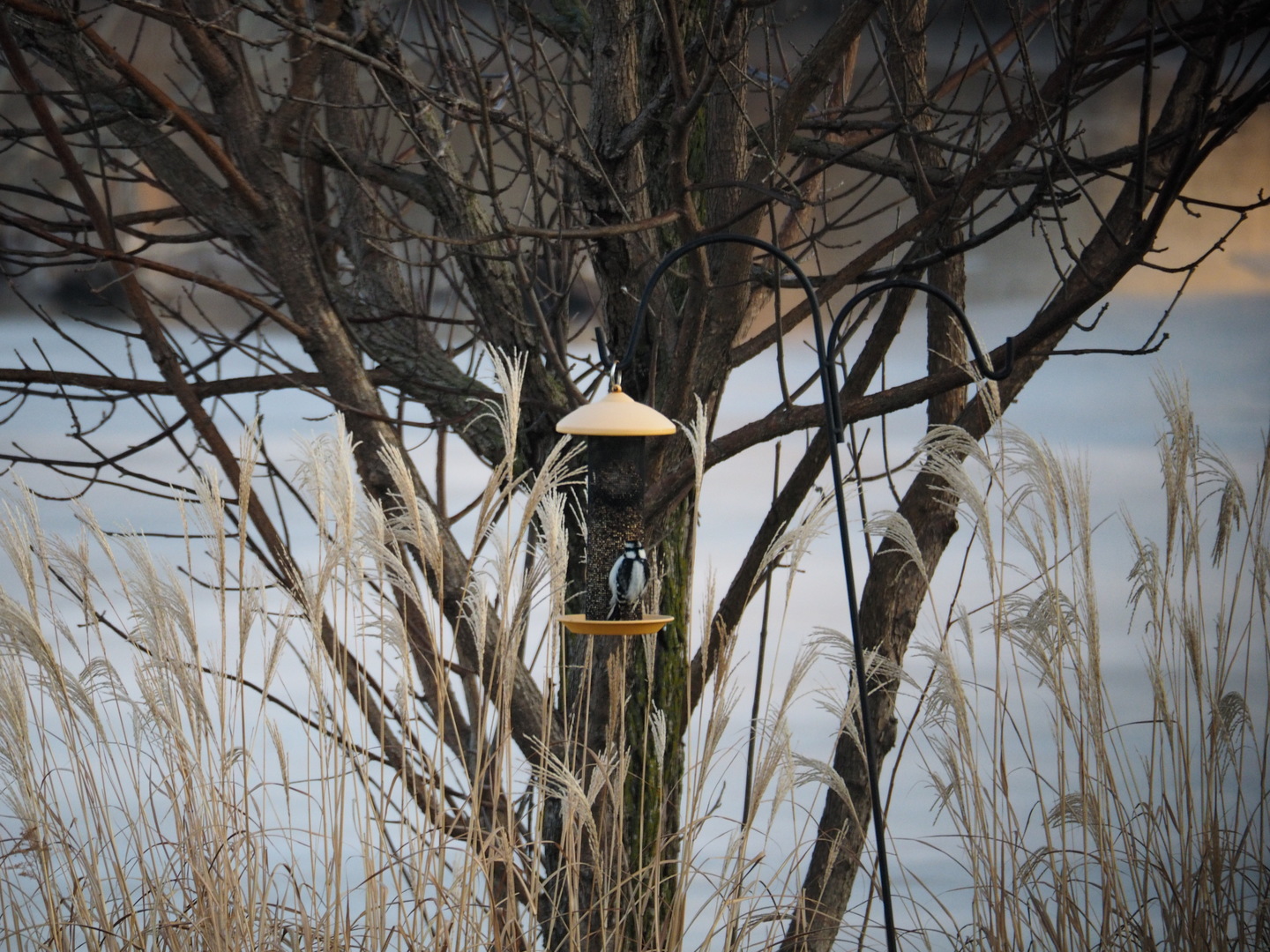 2441 Alan Dale Lane, Yorkville, IL 60560