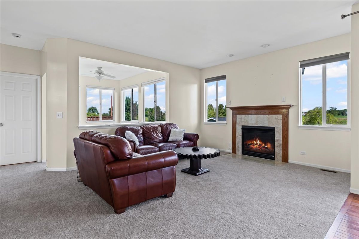 2441 Alan Dale Lane, Yorkville, IL 60560