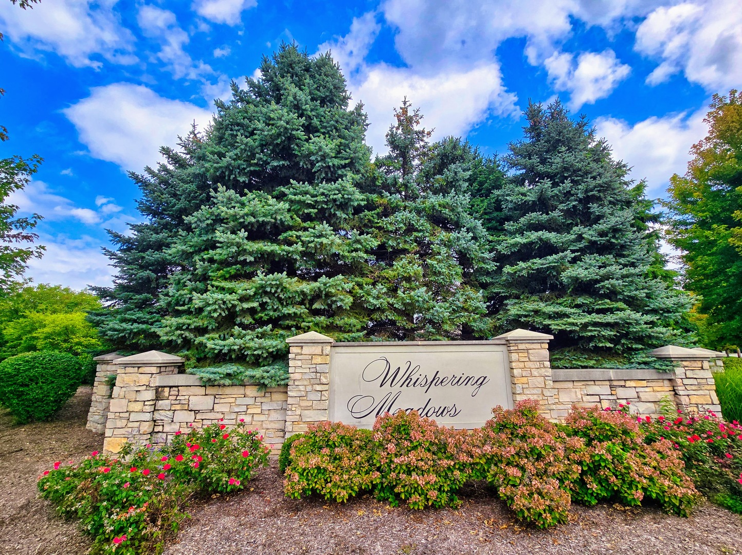 2441 Alan Dale Lane, Yorkville, IL 60560