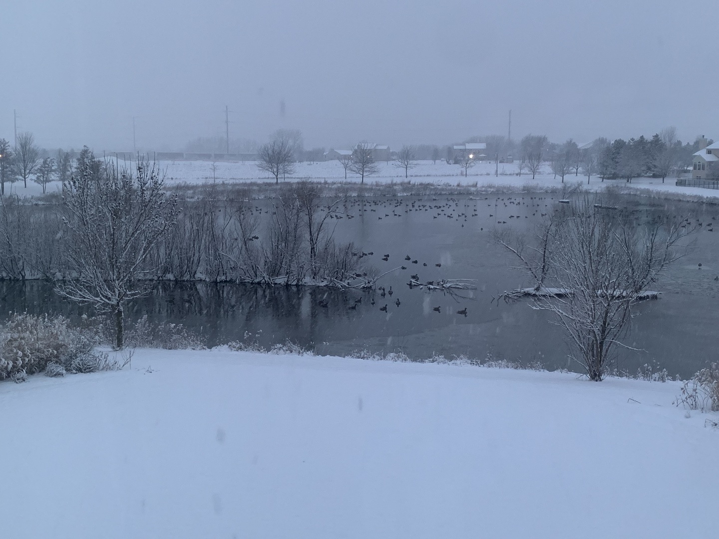 2441 Alan Dale Lane, Yorkville, IL 60560