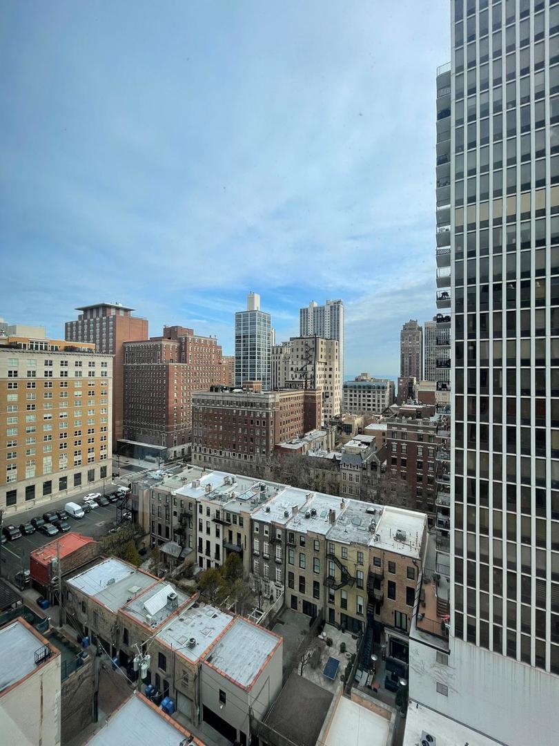 1221 N Dearborn Street #1409N, Chicago, IL 60610