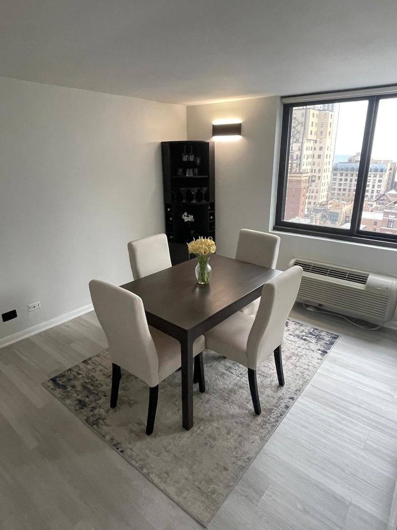1221 N Dearborn Street #1409N, Chicago, IL 60610