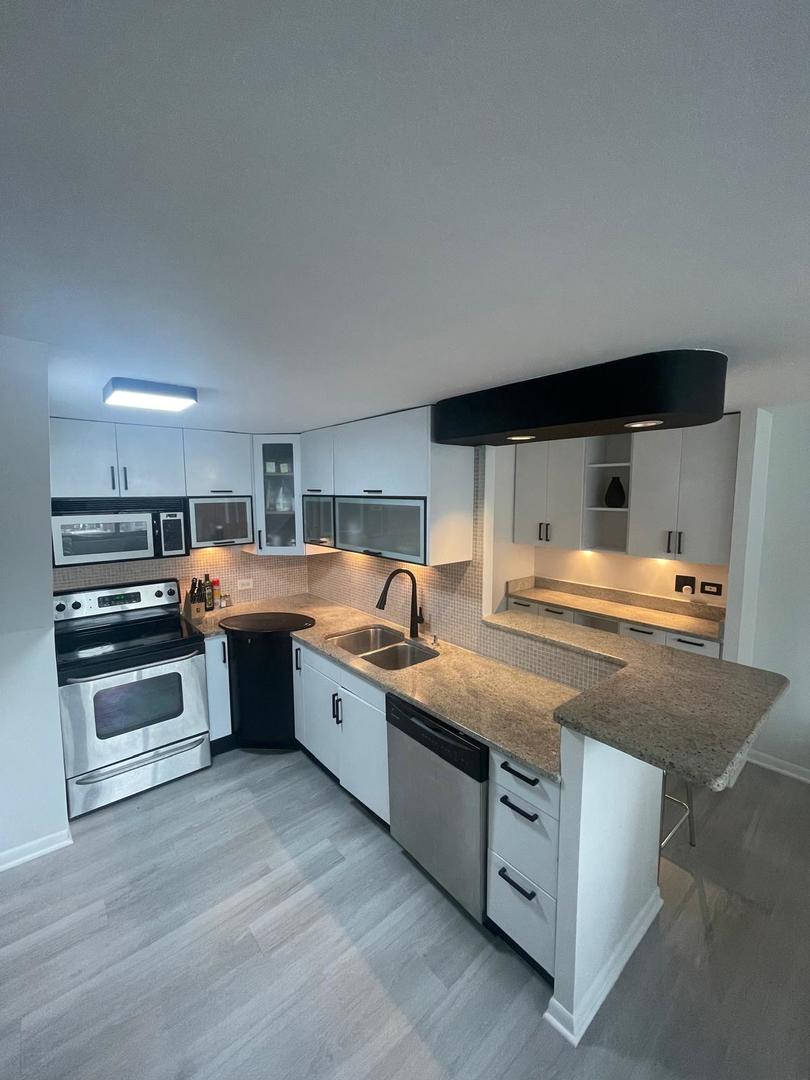 1221 N Dearborn Street #1409N, Chicago, IL 60610