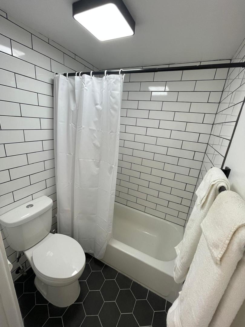 1221 N Dearborn Street #1409N, Chicago, IL 60610