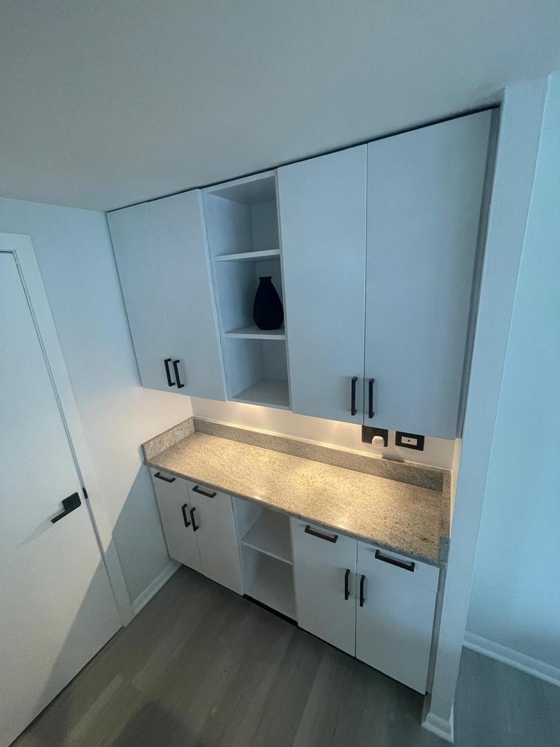 1221 N Dearborn Street #1409N, Chicago, IL 60610