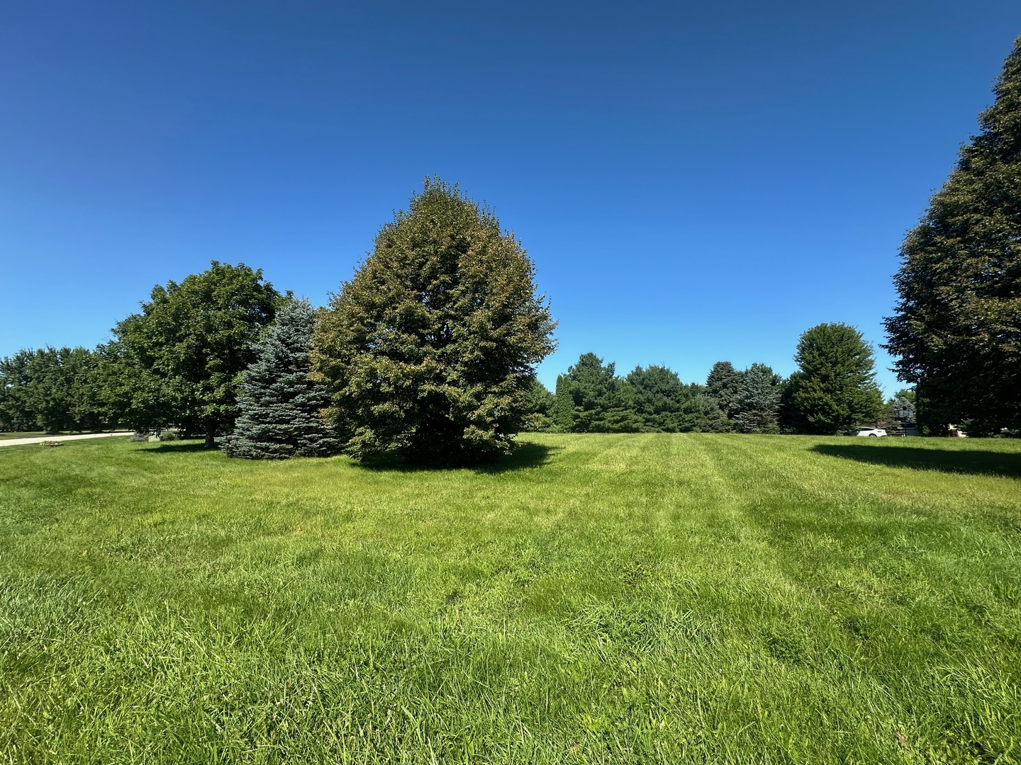 00 Cals Court, Harvard, IL 60033