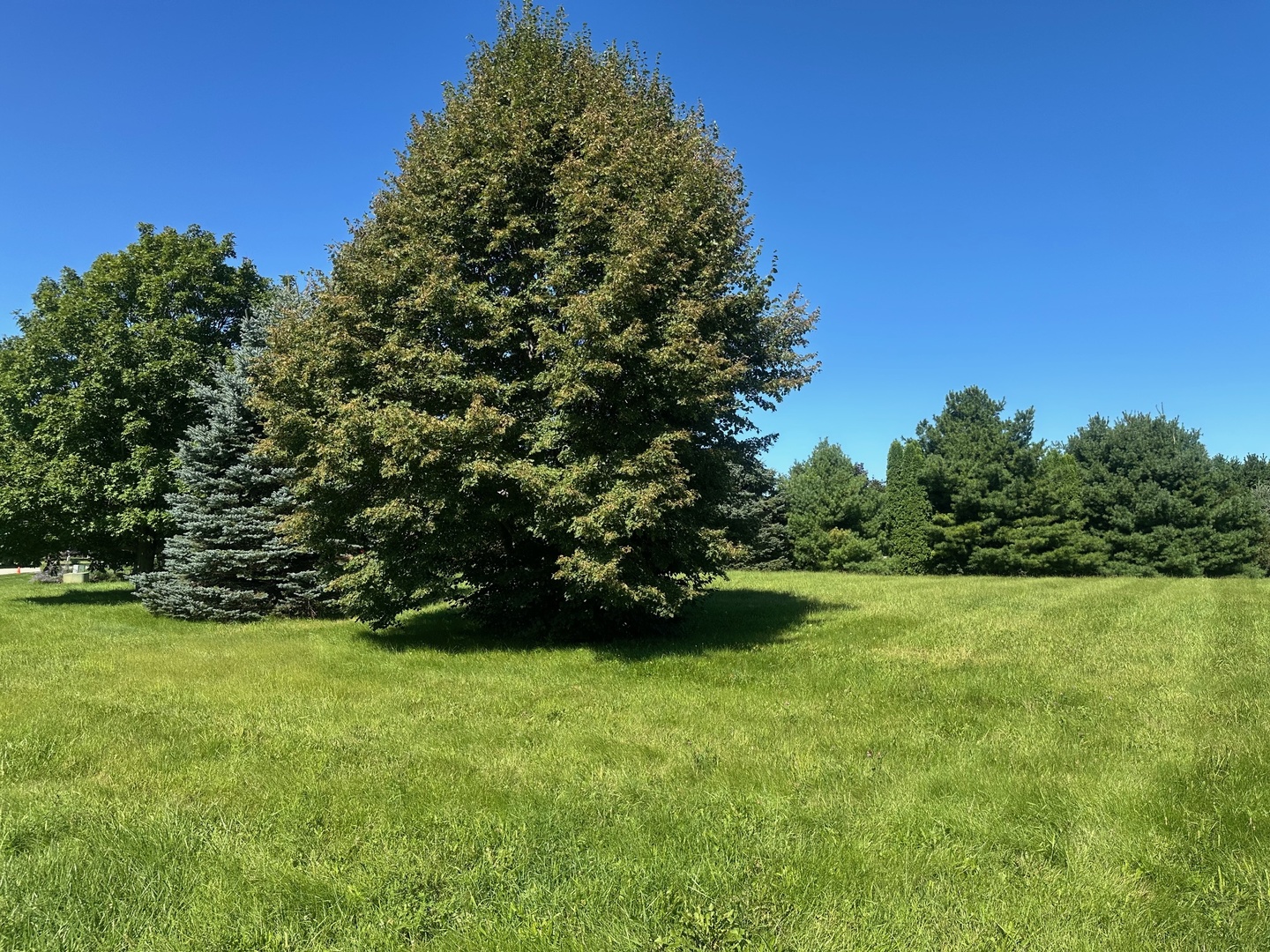 00 Cals Court, Harvard, IL 60033
