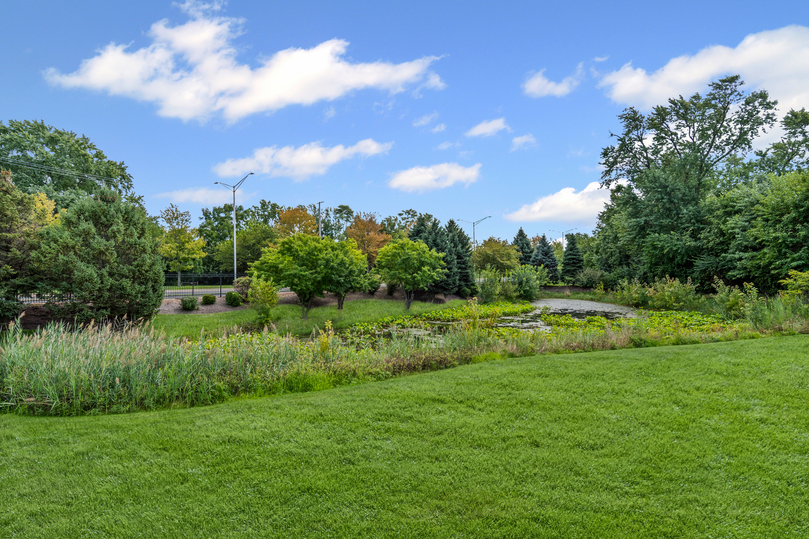4037 Ashwood Park Court, Naperville, IL 60564