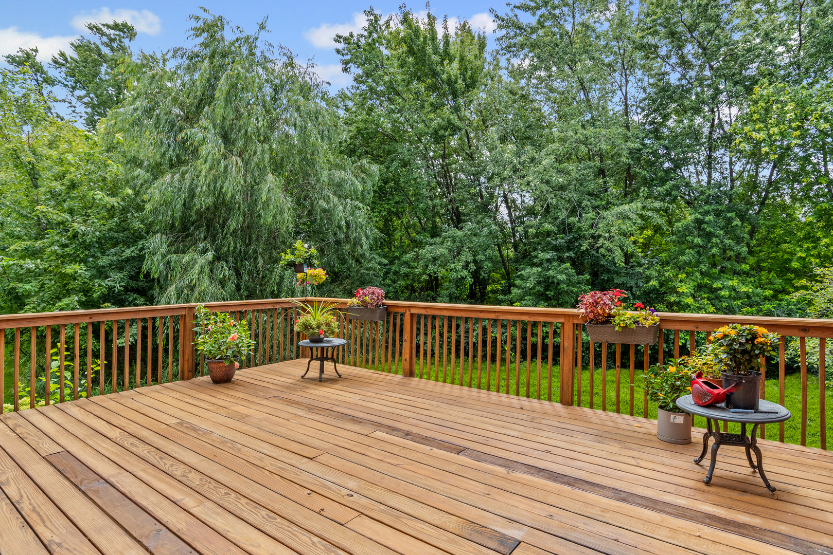 4037 Ashwood Park Court, Naperville, IL 60564