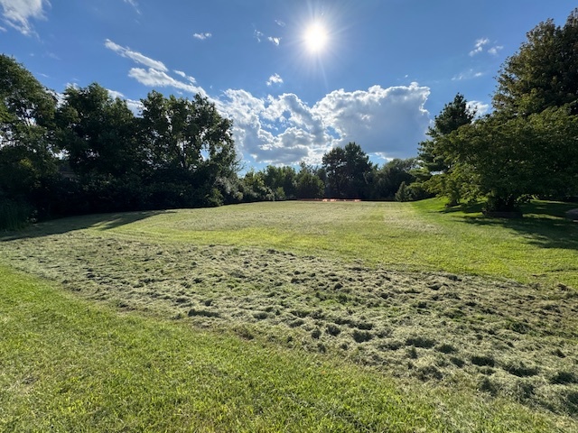 204 Ring Neck Lane, Bloomingdale, IL 60108
