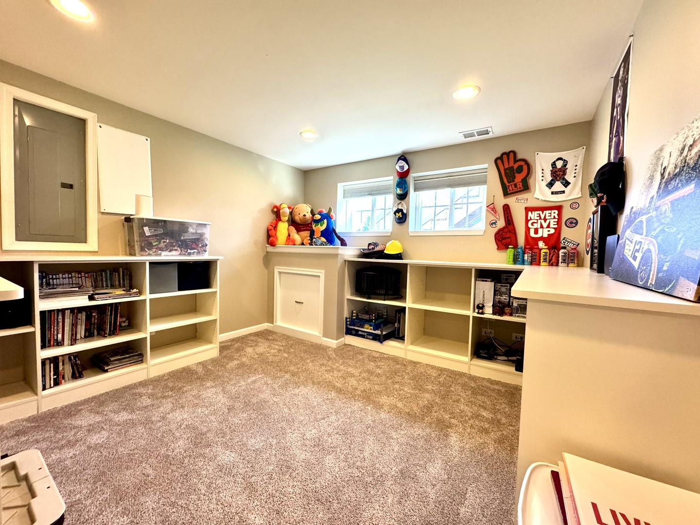 12903 Cypress Lane, Plainfield, IL 60585
