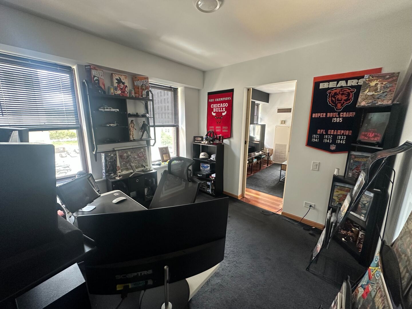 40 E 9th Street #402, Chicago, IL 60605