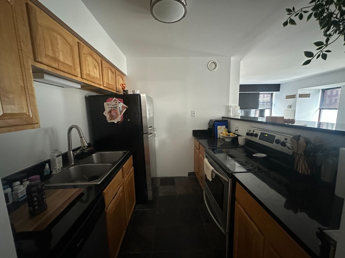40 E 9th Street #402, Chicago, IL 60605