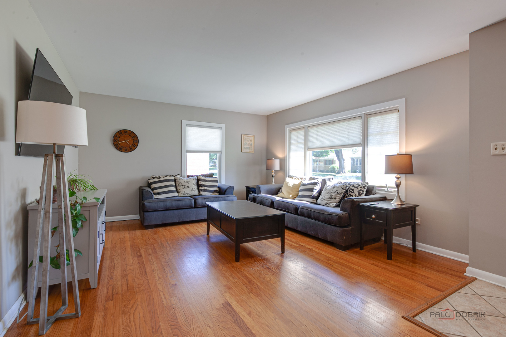 519 Dawes Street, Libertyville, IL 60048