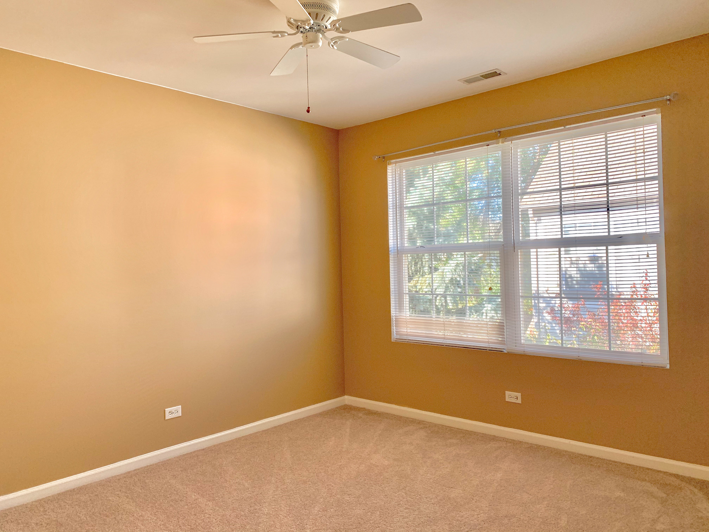2905 STONEWATER Drive #2905, Naperville, IL 60564