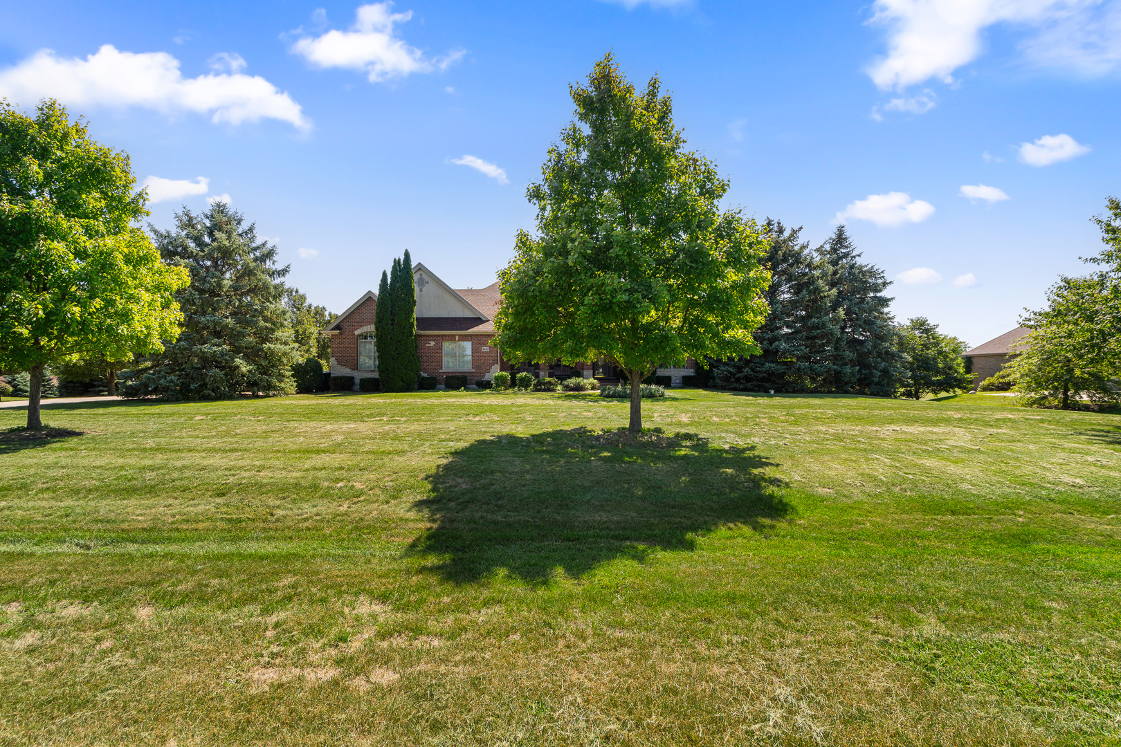 8421 W Blackthorne Way, Frankfort, IL 60423