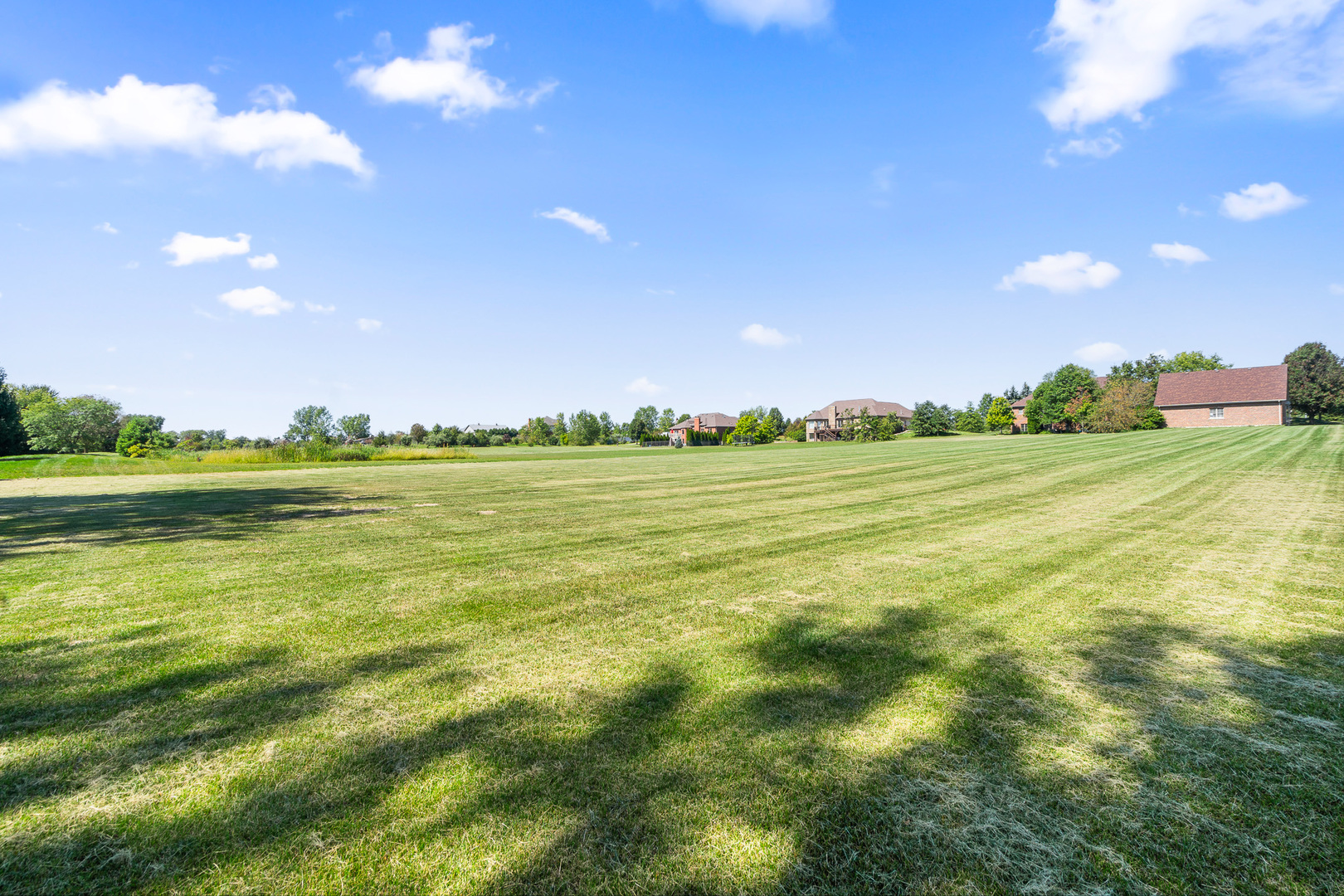8421 W Blackthorne Way, Frankfort, IL 60423