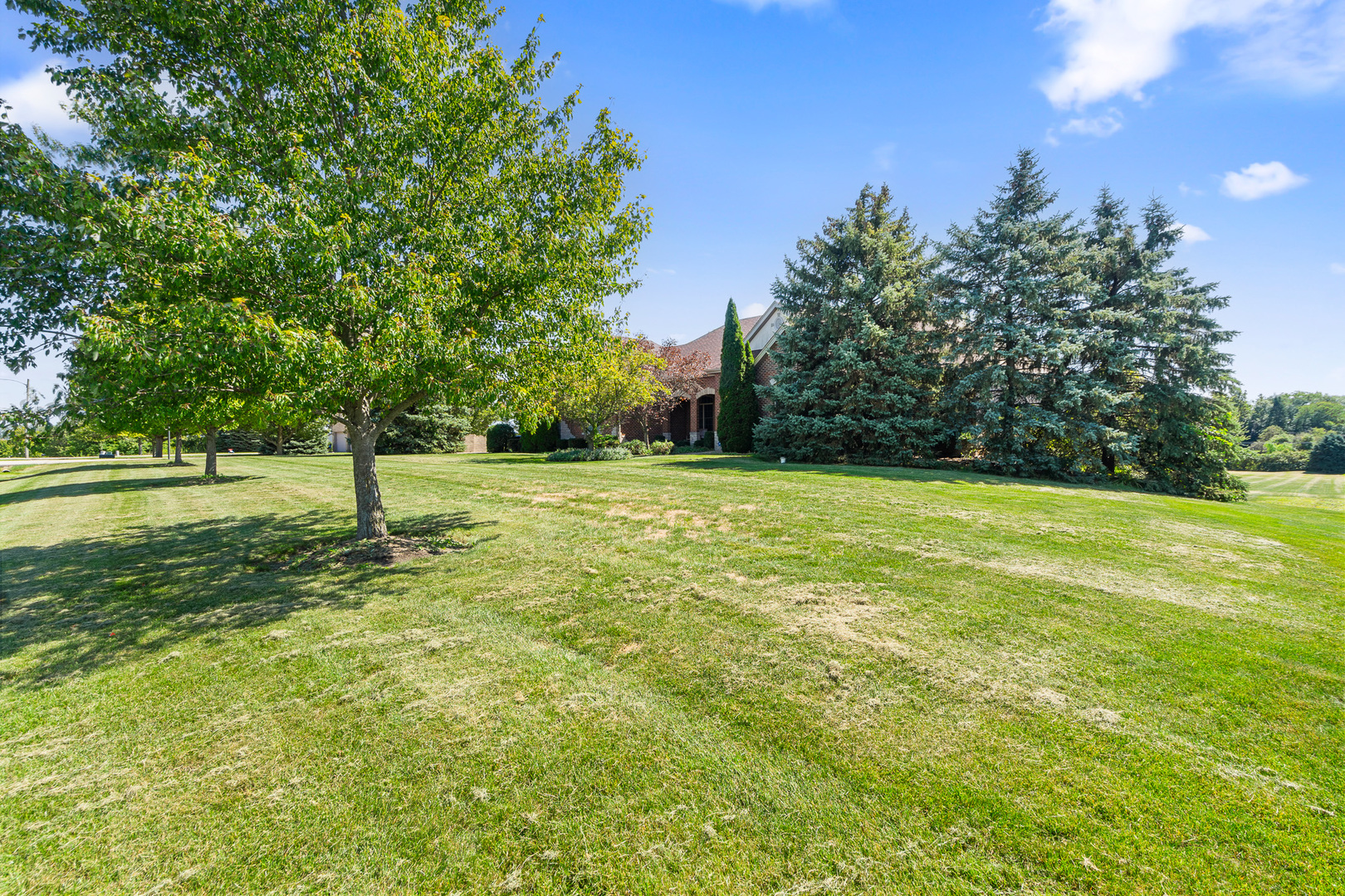 8421 W Blackthorne Way, Frankfort, IL 60423