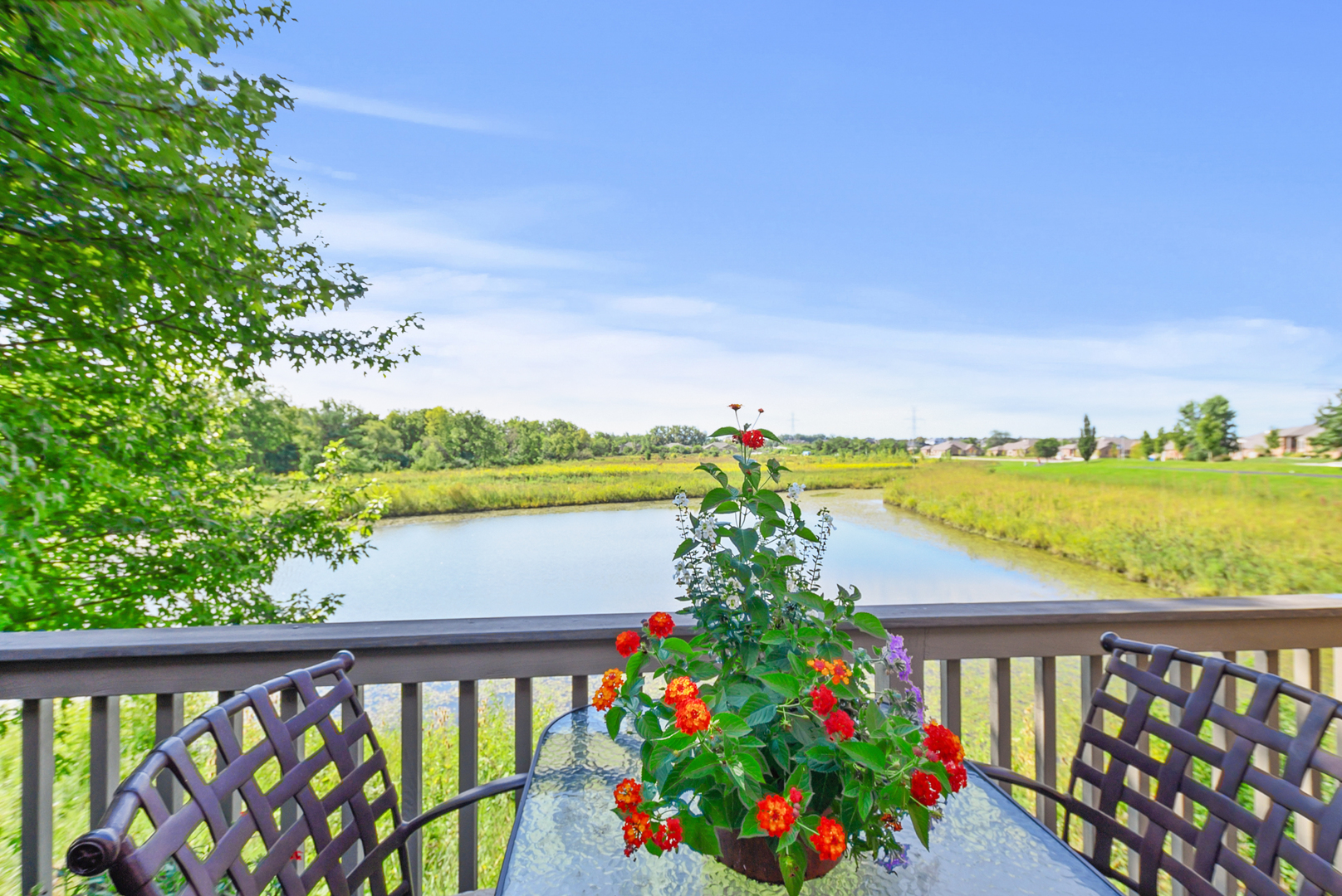 20399 Grosse Point Drive, Frankfort, IL 60423