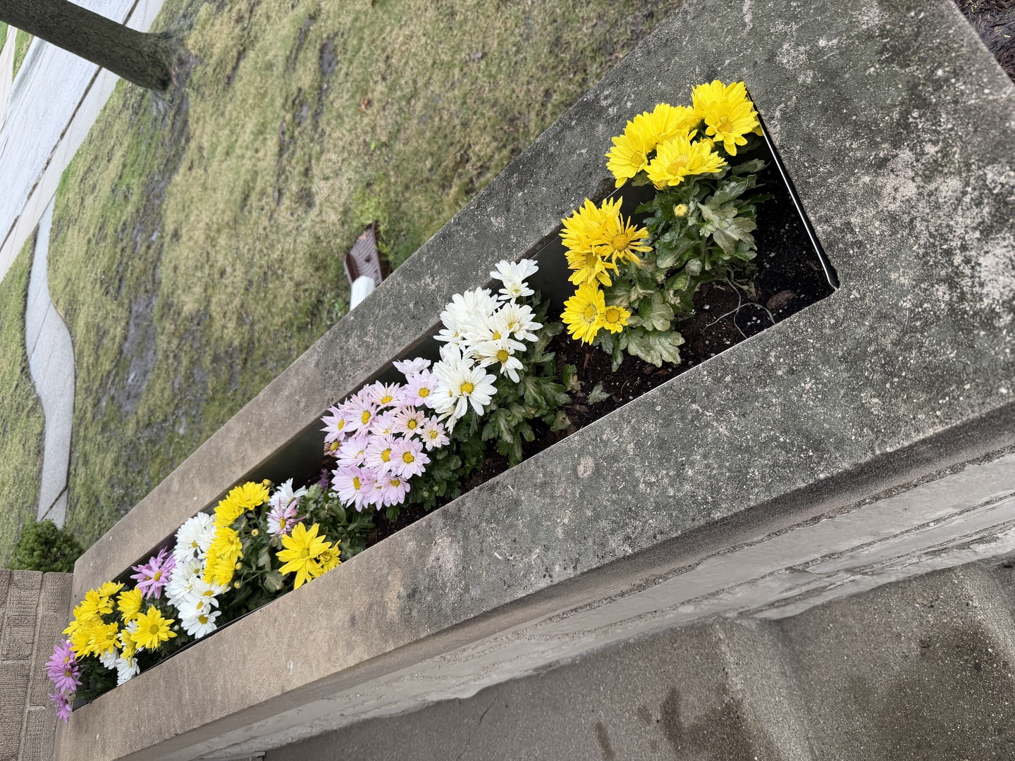 7636 W Rosedale Avenue, Chicago, IL 60631