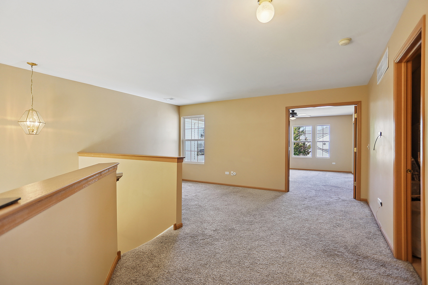 16663 S Windsor Lane, Lockport, IL 60441
