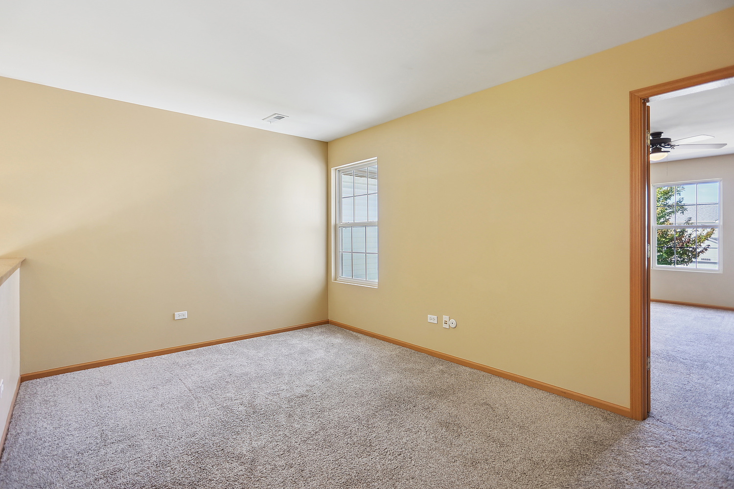 16663 S Windsor Lane, Lockport, IL 60441