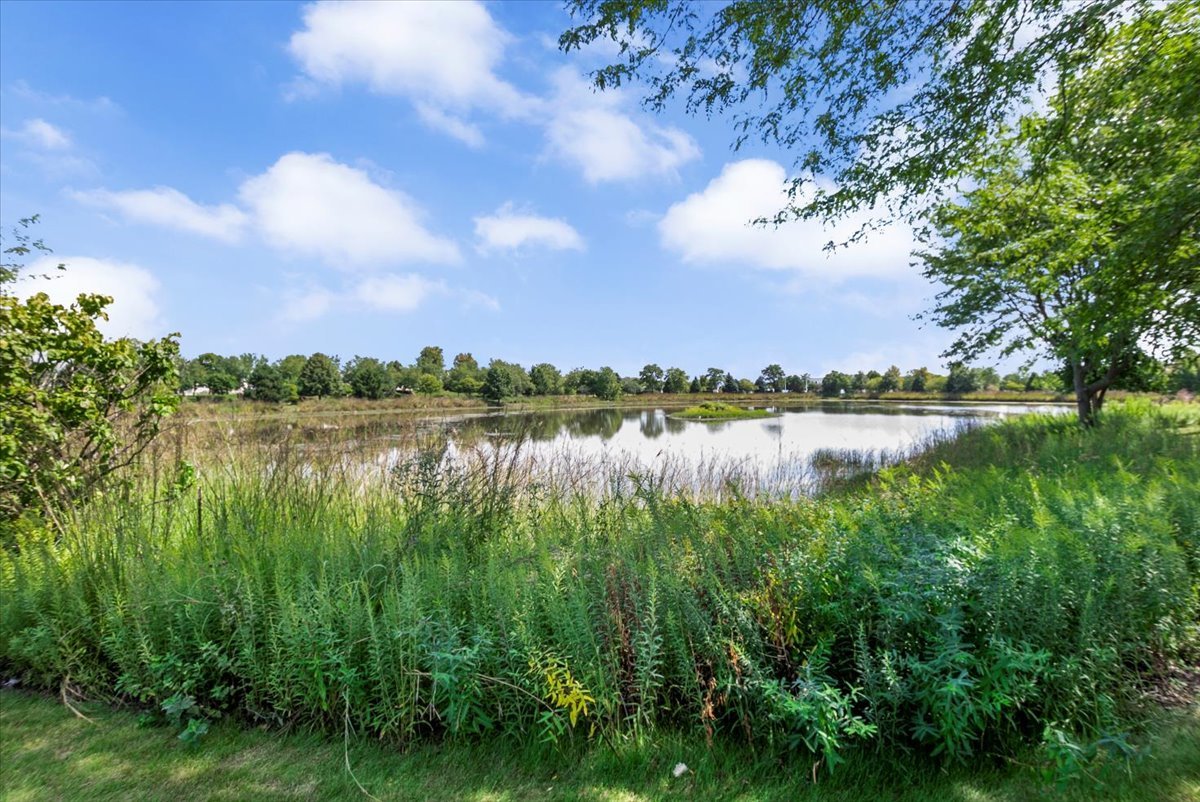 24545 George Washington Drive, Plainfield, IL 60544