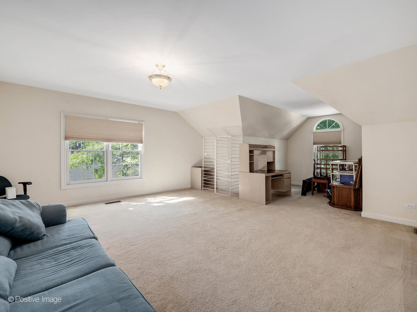 203 Grant Avenue, Clarendon Hills, IL 60514