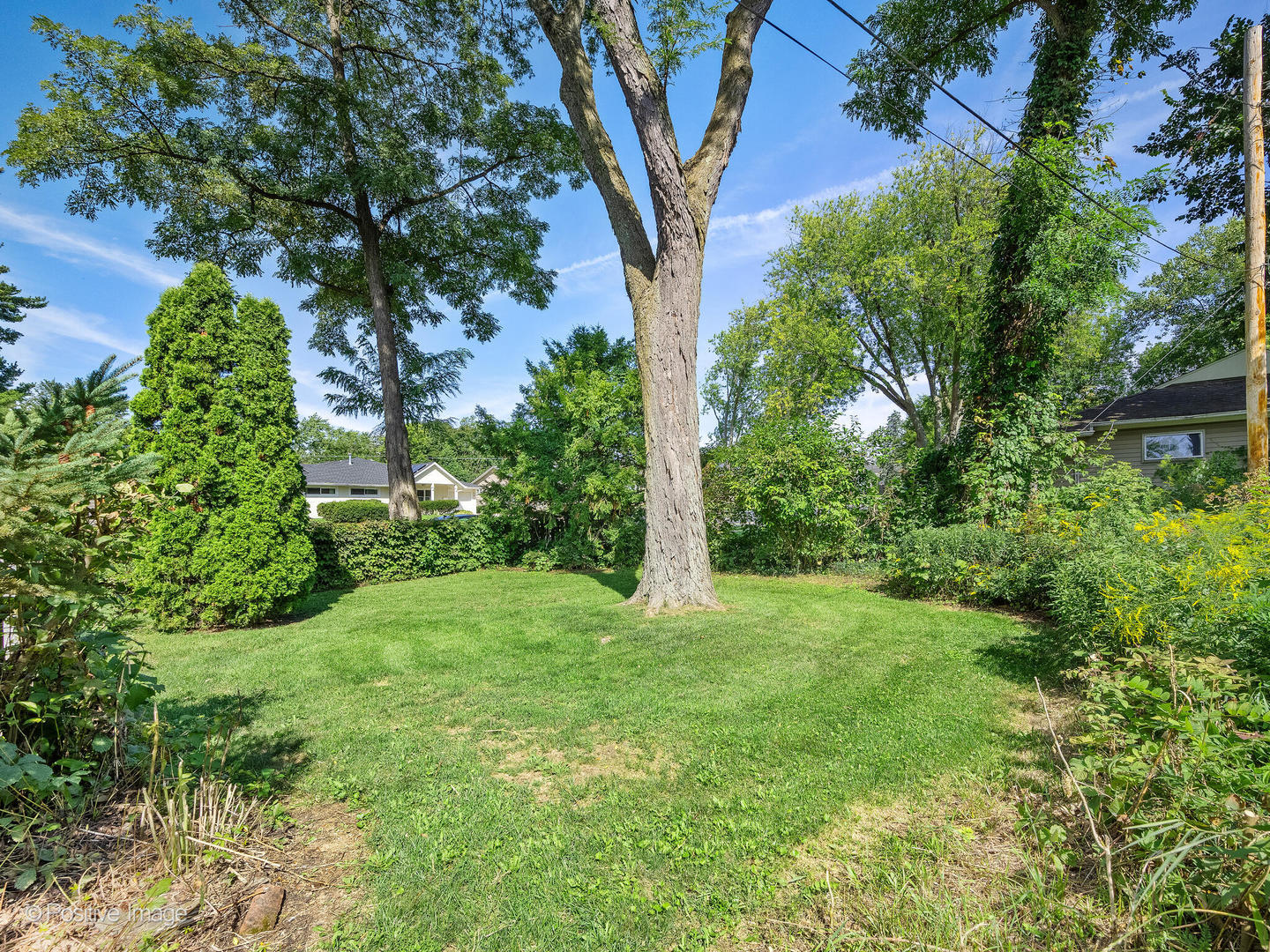 1319 Childs Street, Wheaton, IL 60187