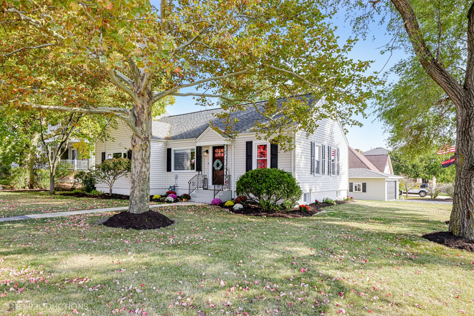 155 S Locust Street, Frankfort, IL 60423