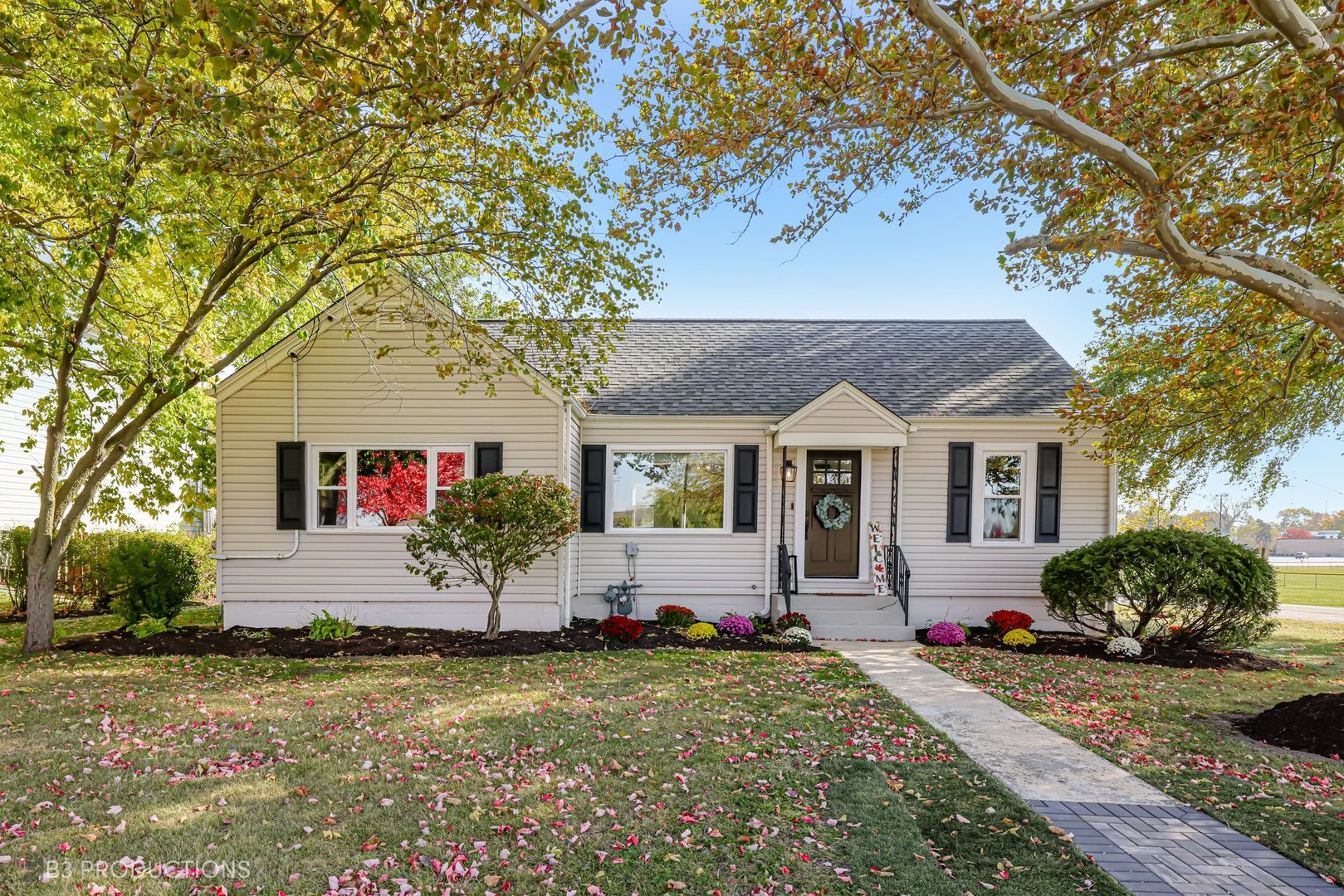 155 S Locust Street, Frankfort, IL 60423