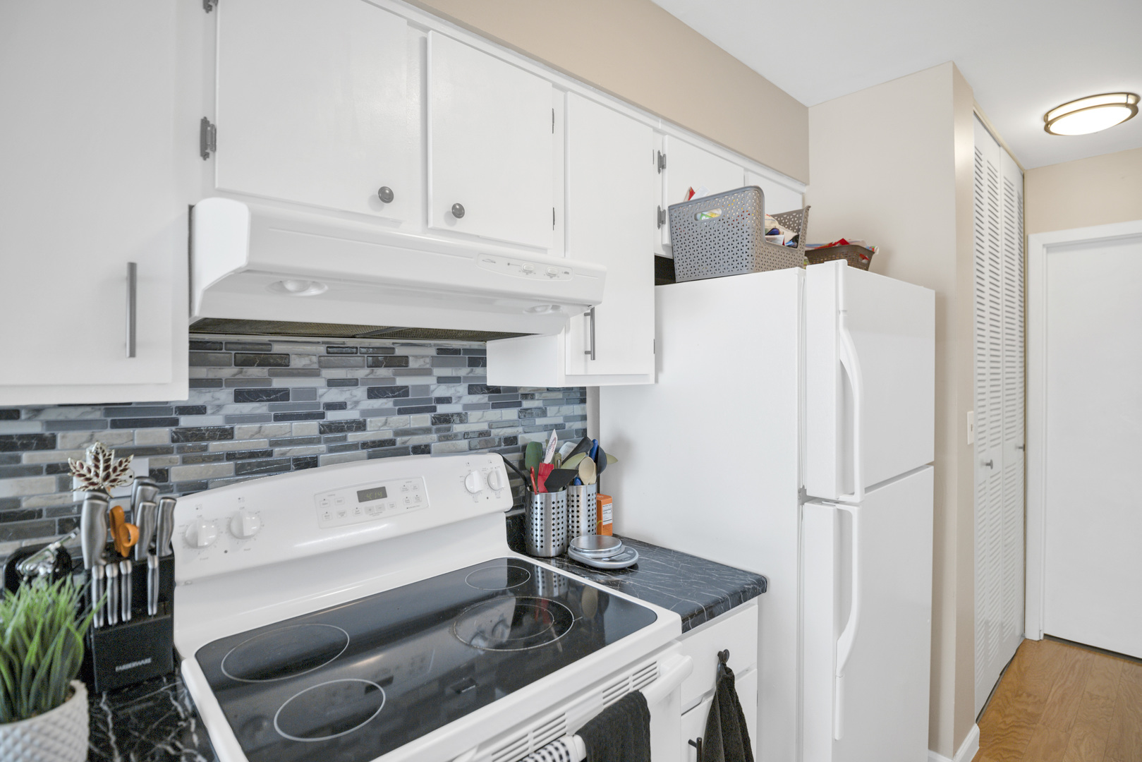 2201 Brittany Court #2201, Schaumburg, IL 60194