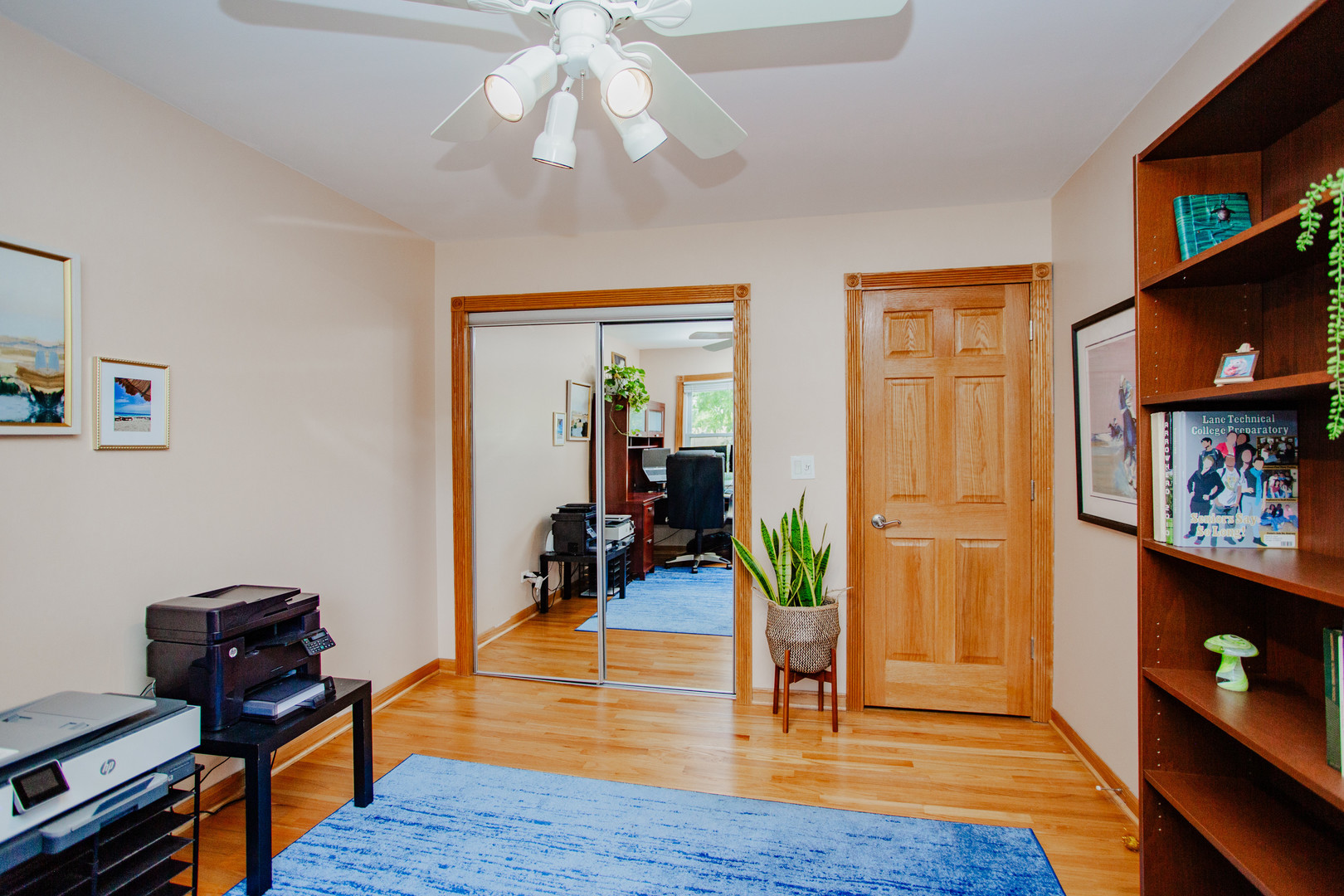 207 Schreiber Avenue, Roselle, IL 60172