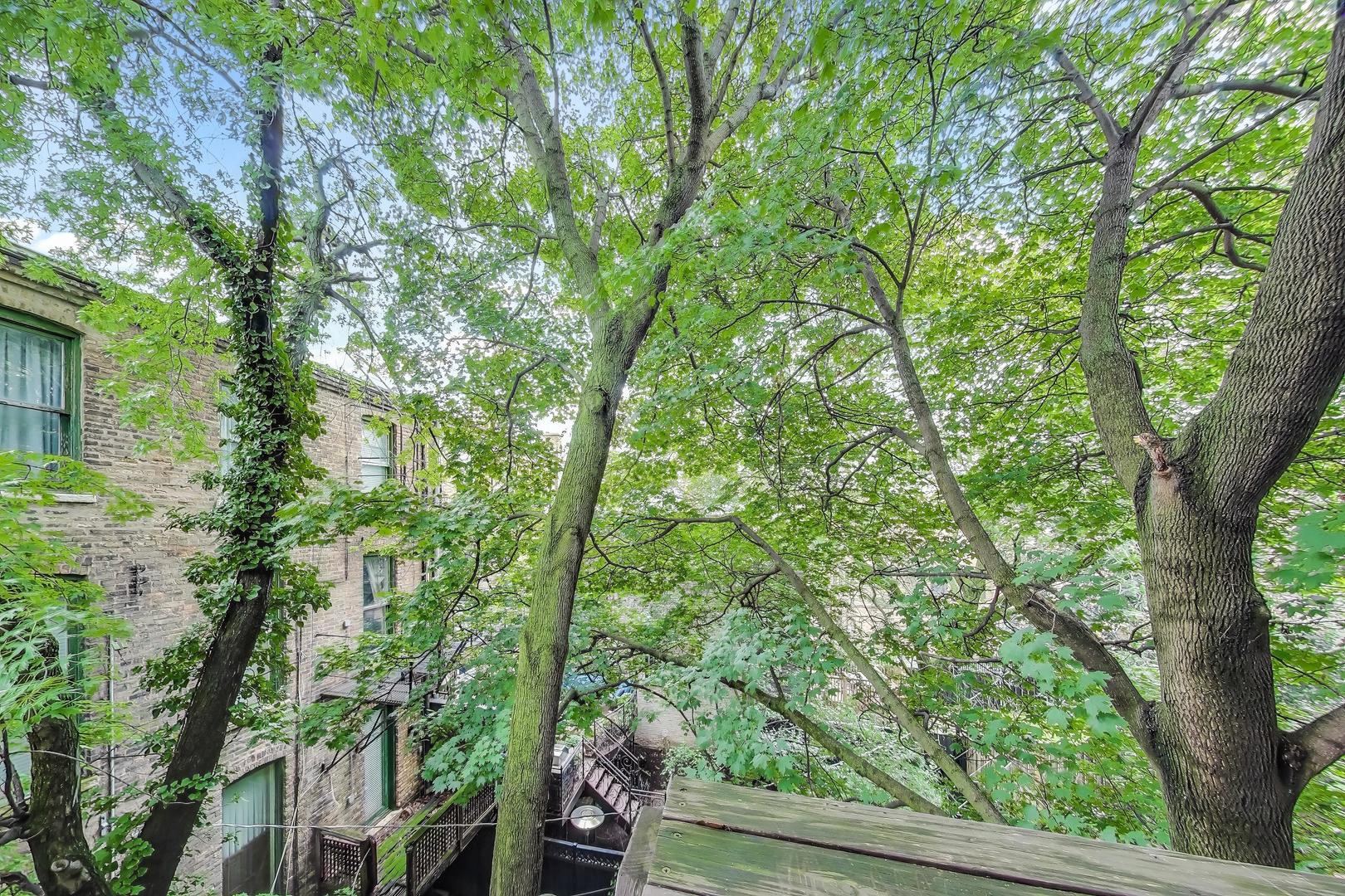 2351 N Geneva Terrace #3, Chicago, IL 60614