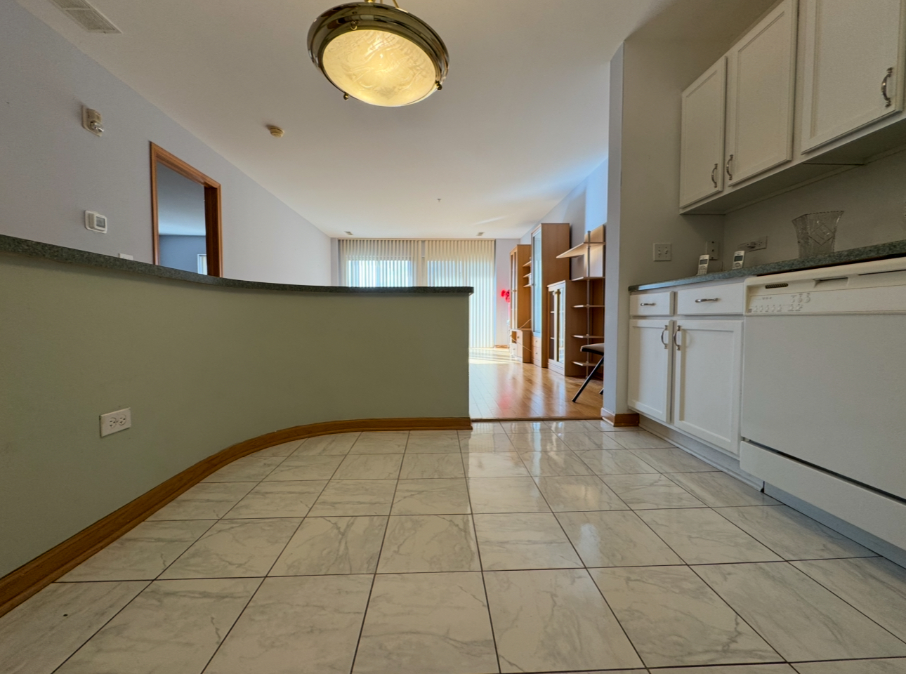50 N Bokelman Avenue #333, Roselle, IL 60172