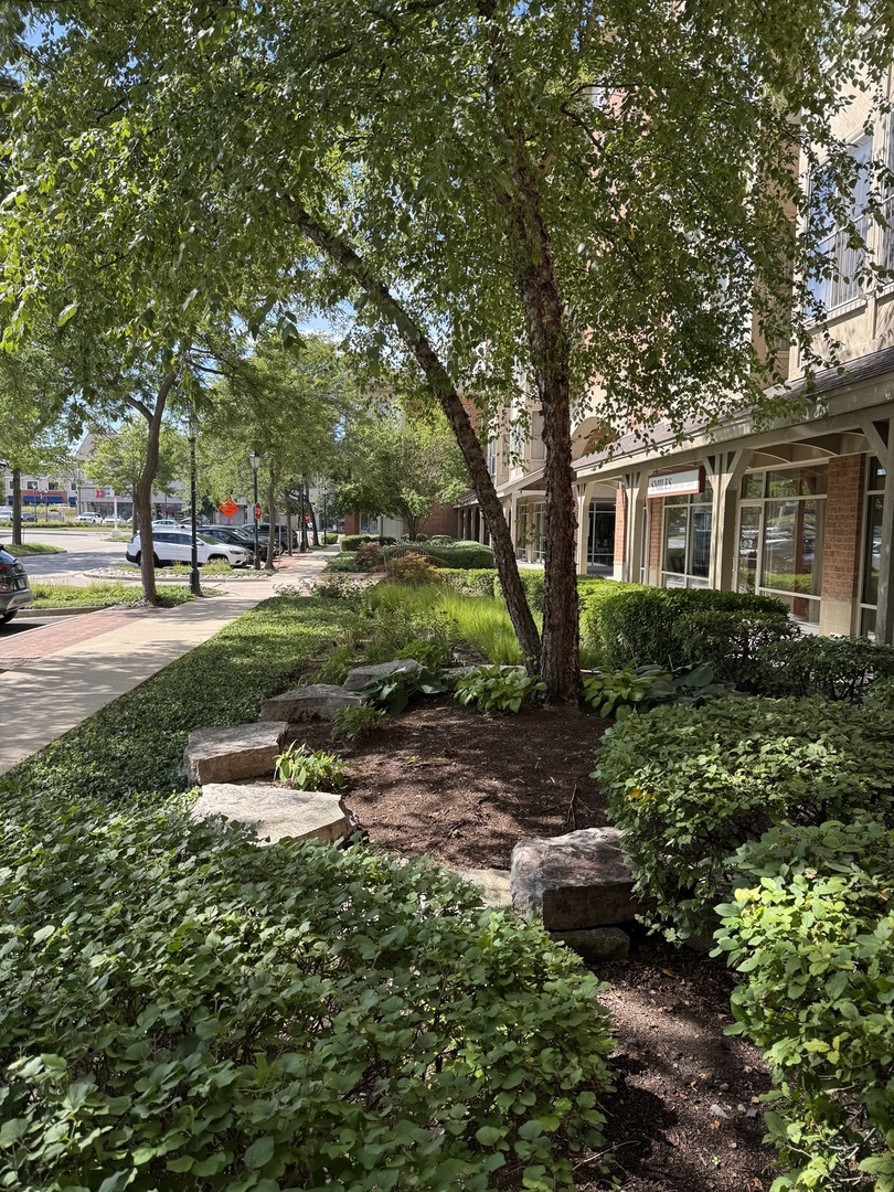 50 N Bokelman Avenue #333, Roselle, IL 60172