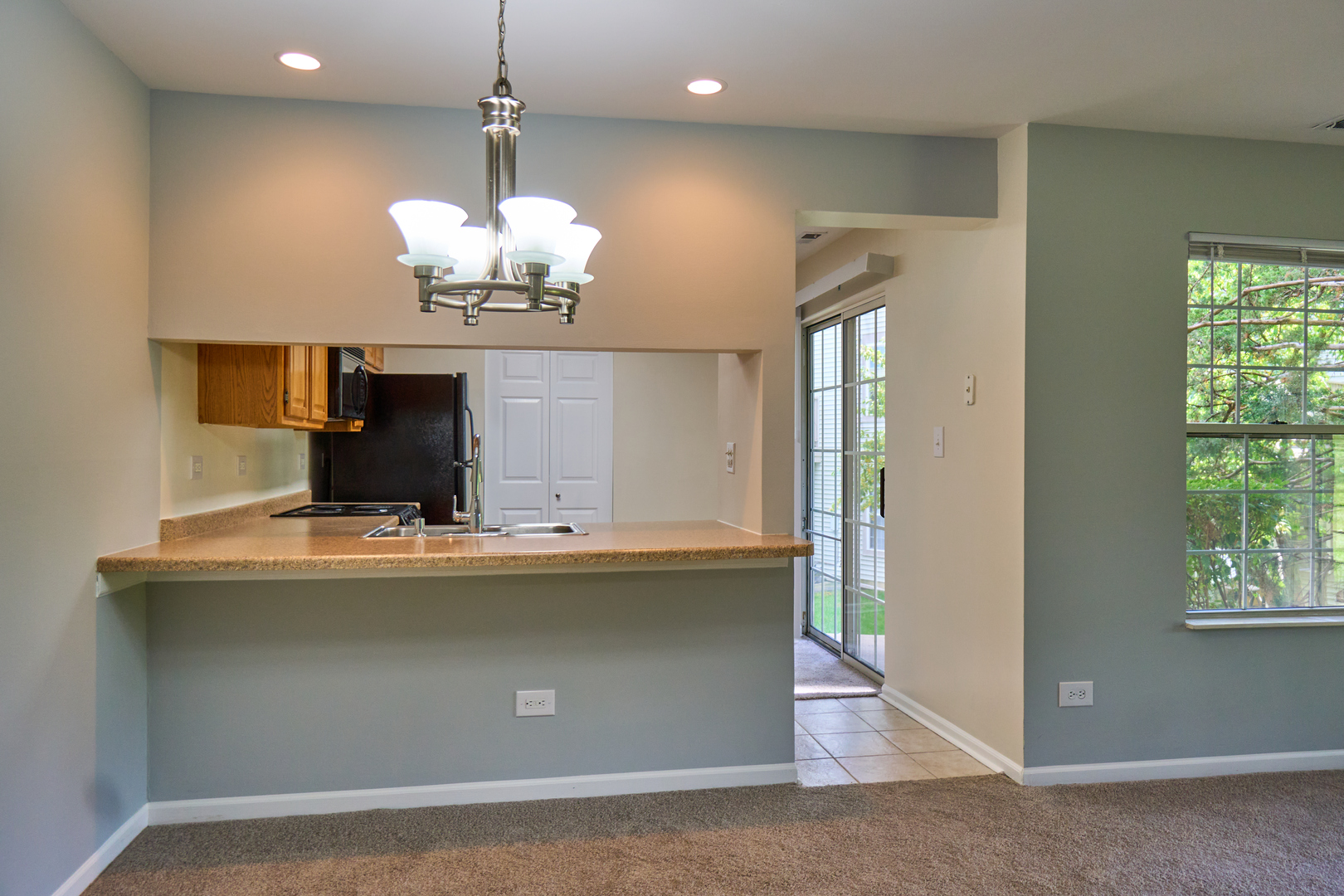 123 Willow Brook Court #3, Schaumburg, IL 60195