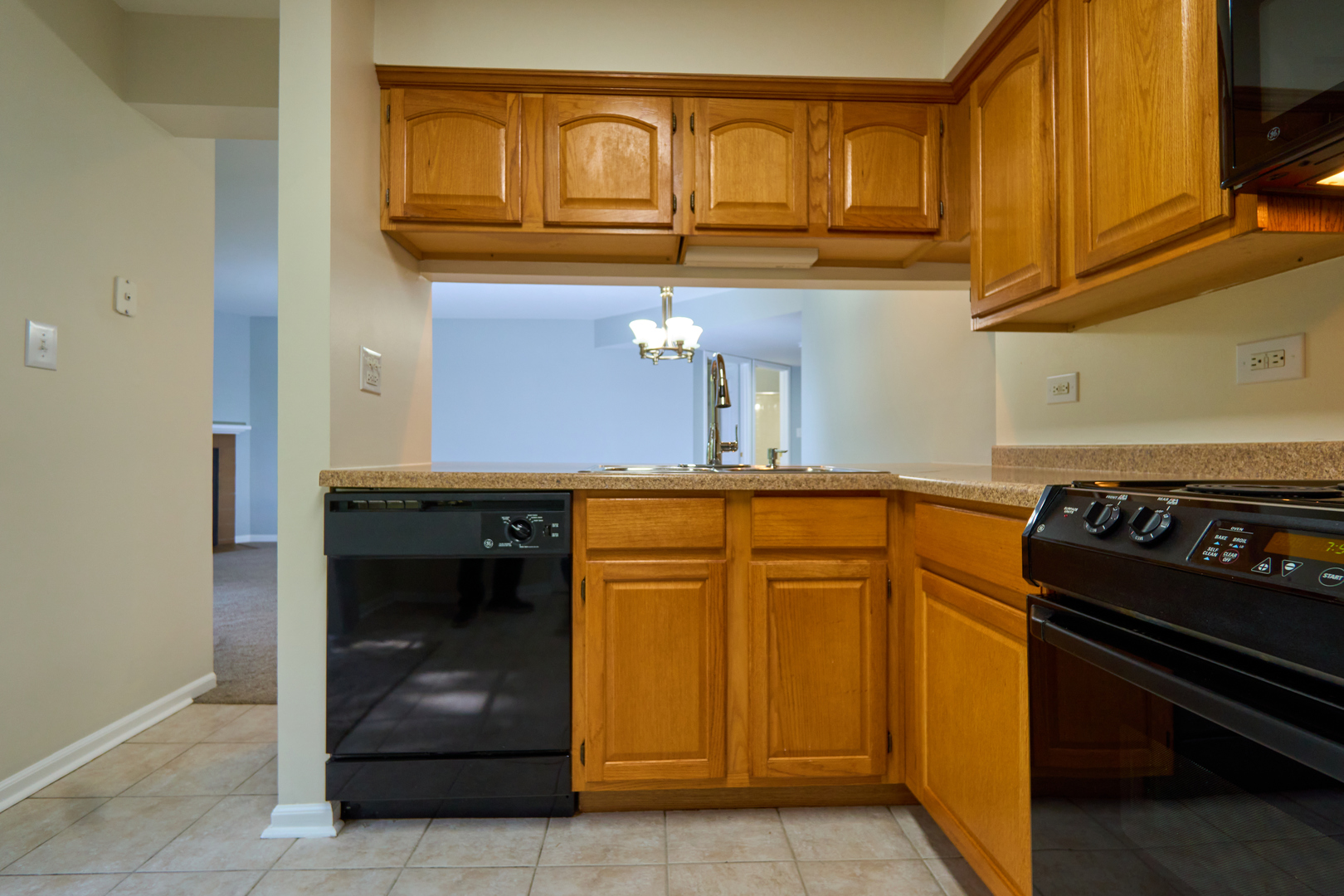 123 Willow Brook Court #3, Schaumburg, IL 60195