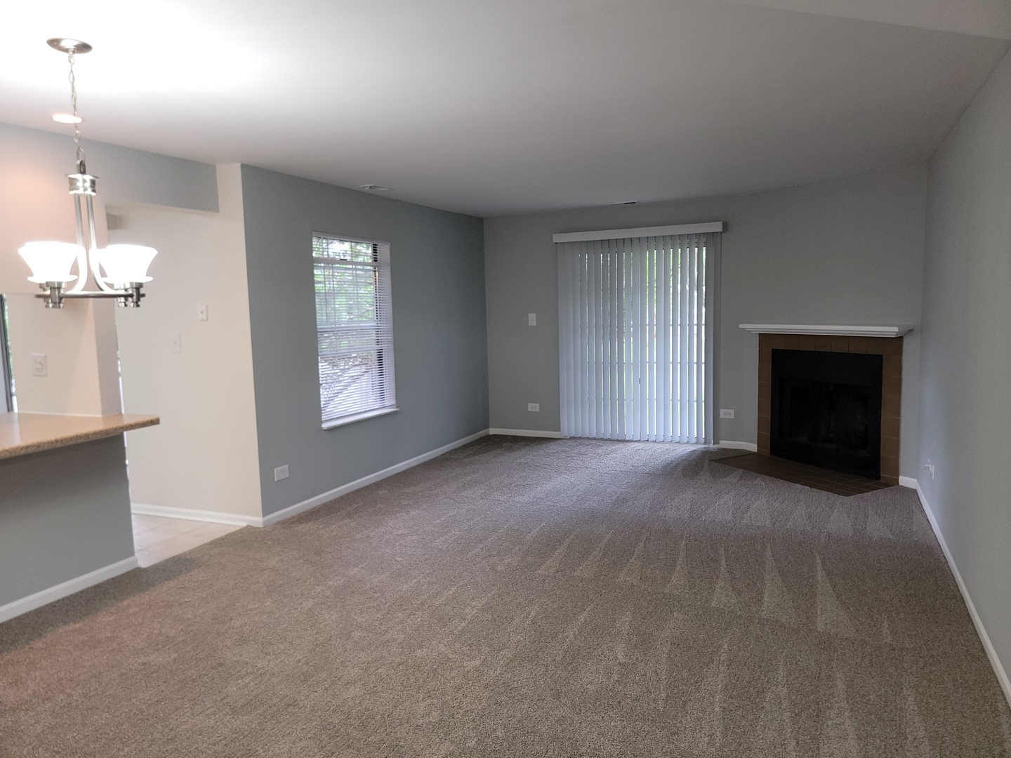 123 Willow Brook Court #3, Schaumburg, IL 60195