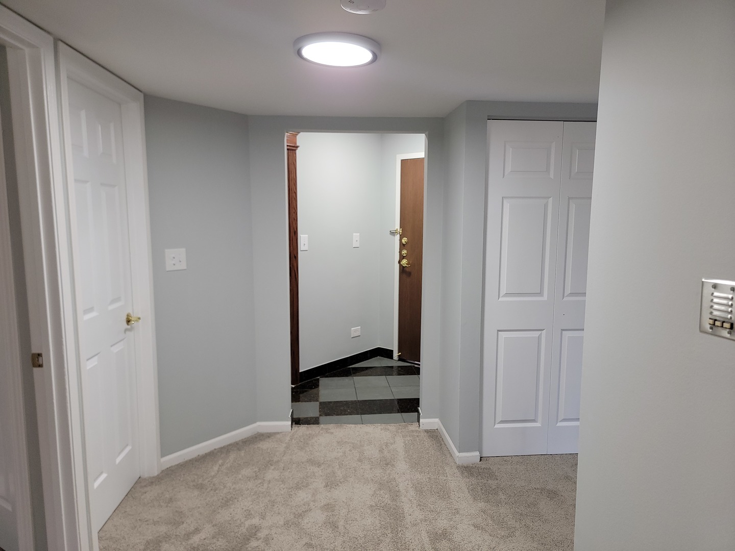 123 Willow Brook Court #3, Schaumburg, IL 60195
