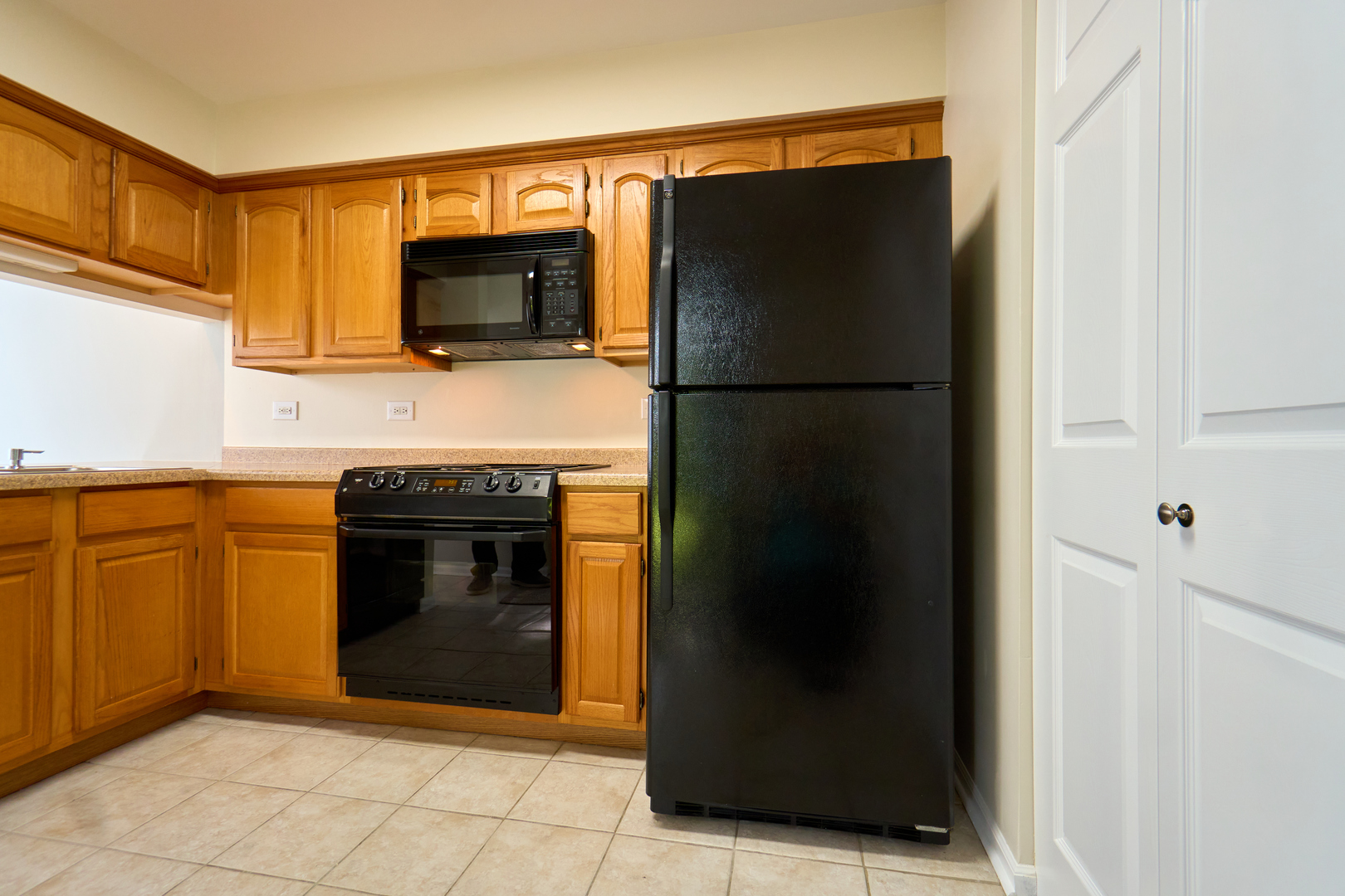 123 Willow Brook Court #3, Schaumburg, IL 60195