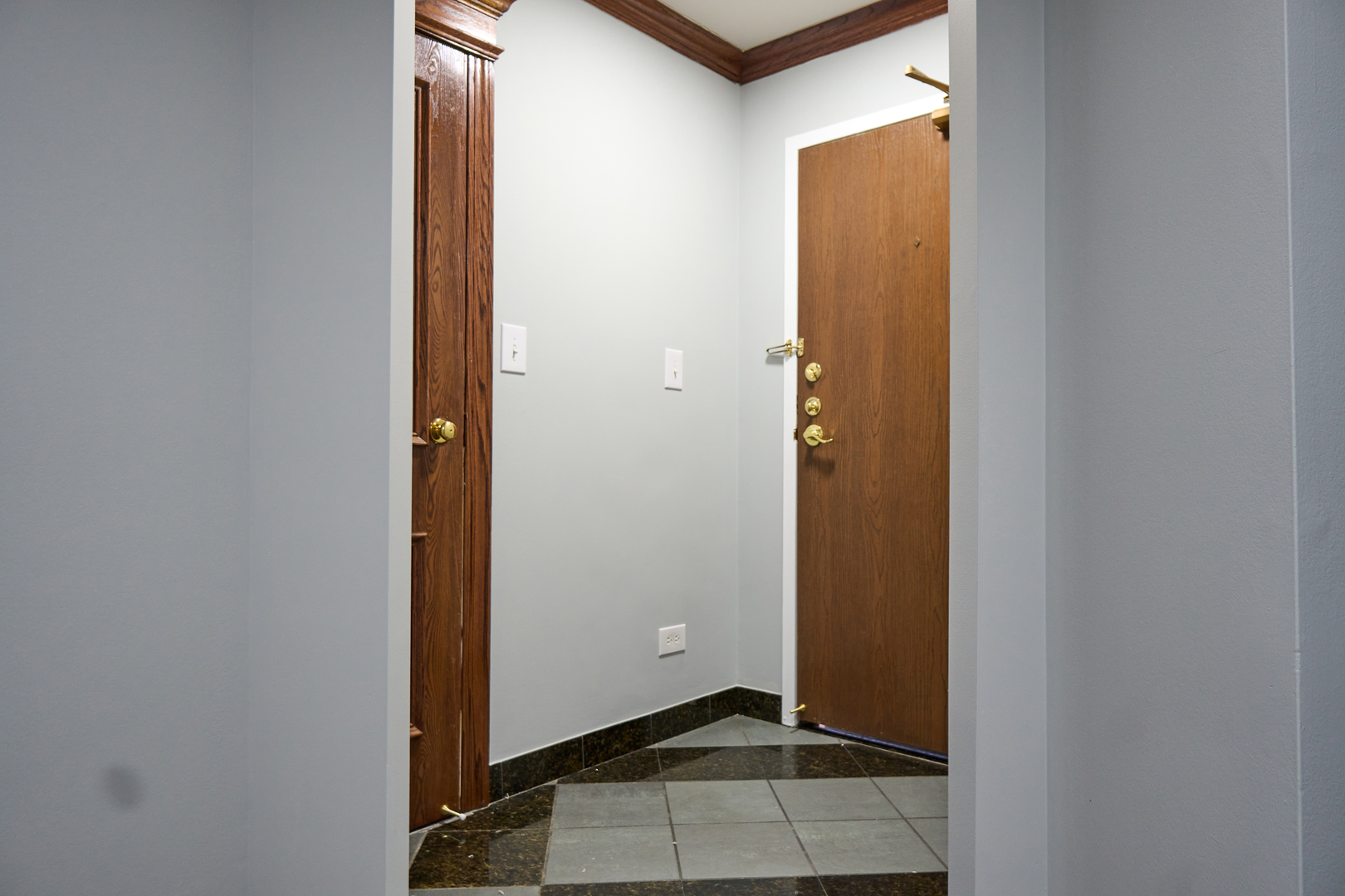 123 Willow Brook Court #3, Schaumburg, IL 60195