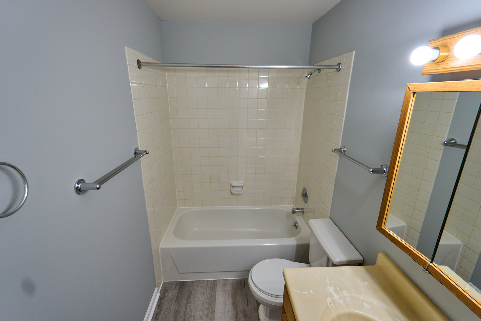 123 Willow Brook Court #3, Schaumburg, IL 60195